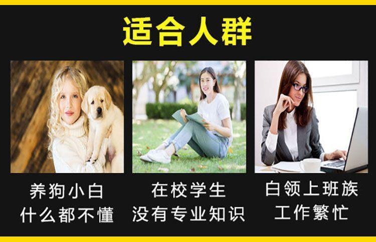 训狗教程金毛边牧狗狗零基础新版宠物定点上厕所动作训练视频课程