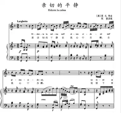 Cordial calm F-tone College entrance examination Vocal piano accompaniment Staff positive score Sheet music (special price score)