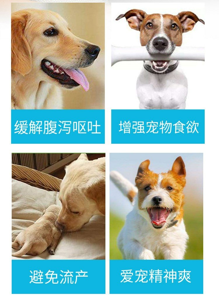 New Zealand Bướm Dog tẩy giun Pet Pet Cat Toxoplasma Coccidia tẩy giun côn trùng 10 gói - Cat / Dog Medical Supplies máy siêu âm chó mèo