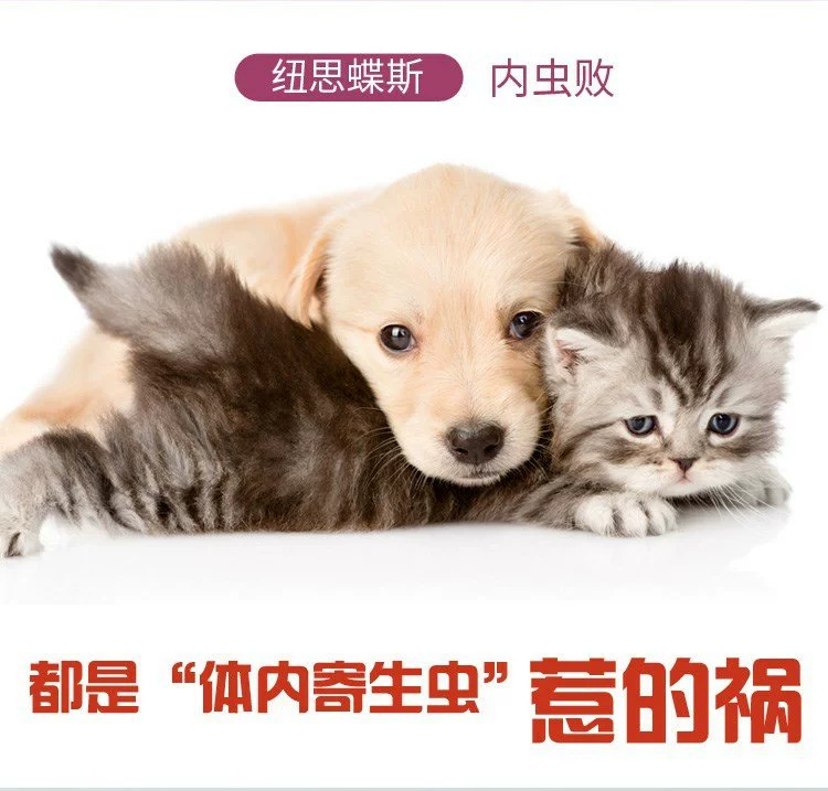 Chó bướm New Zealand phổ quát phòng ngừa ve, ve, tuyến trùng, giun móc, vv - Cat / Dog Medical Supplies