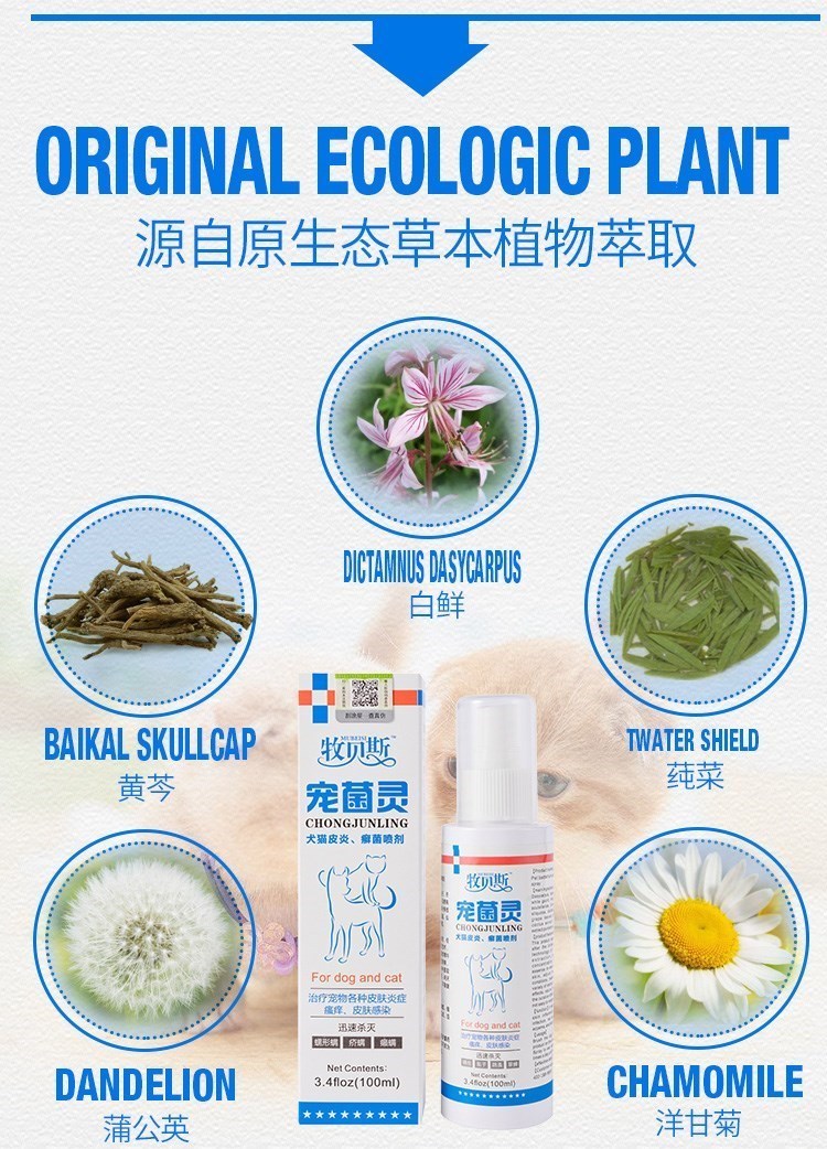贝斯 宠 喷剂 100ml chó mèo ve nấm bệnh nấm da viêm da chàm - Cat / Dog Medical Supplies 	các loại kim tiêm thú y	