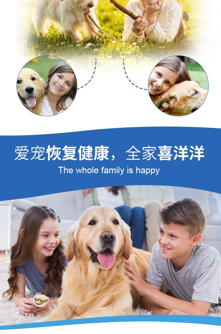 贝斯 宠 猫猫 hắt hơi sổ mũi ho nghẹt mũi chó con uống thuốc dạng lỏng - Cat / Dog Medical Supplies 	kim tiêm cho mèo