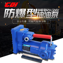 CDI oil pump 12V 24V gasoline methanol oil pump Large flow self-priming explosion-proof oil pump pumping equipment