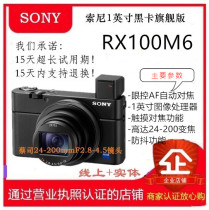 Sony Sony DSC-RX100M6 camera black card 6 generations of card machine to travel with convenient and advanced delivery