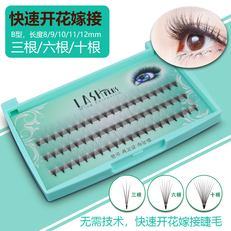 South Korea Dairy grafting eyelashes mountain tea flowers three-six-ten roots ten ultra soft mink natural dense