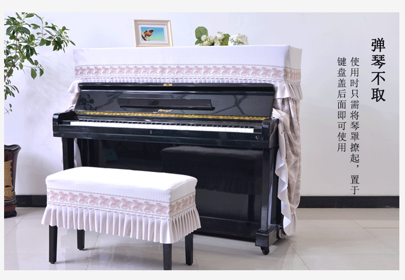 Детали обложки фортепиано_07.gif