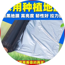 Agricultural silver and black two-color mulching film thickened insect-proof and weeding white and black film reflective covering orchard moisturizing plastic film