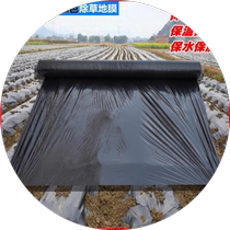 Agricultural planting thickened anti-aging black mulch plastic film weeding insulation moisturizing film weed-proof greenhouse fruit tree film