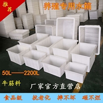 Food-grade plastic water tank thickened beef tendon aquaculture box fish raising turtle square box rectangular bubble tile box
