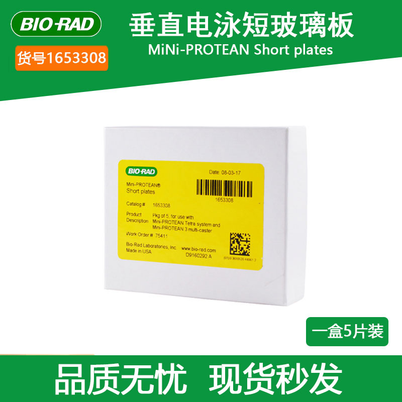 伯乐电泳薄玻璃板BIO-RAD实验室用制胶板 1653308型垂直短板