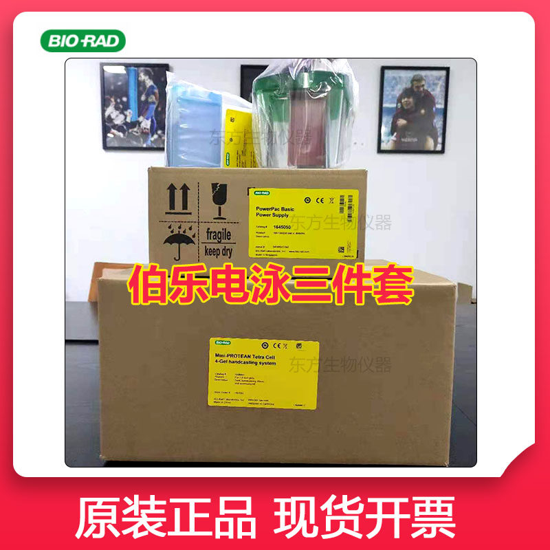伯乐电泳仪正品bio-rad小型垂直电泳槽1658033电源1645050转印槽