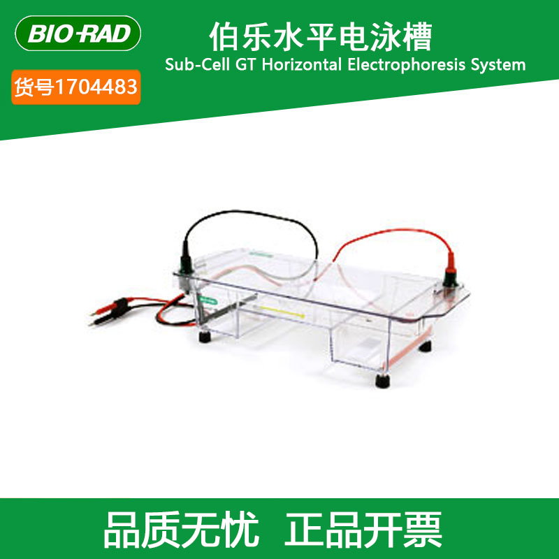 伯乐BIO-RAD水平电泳槽 1704483 Sub Cell GT凝胶盘尺寸15*20