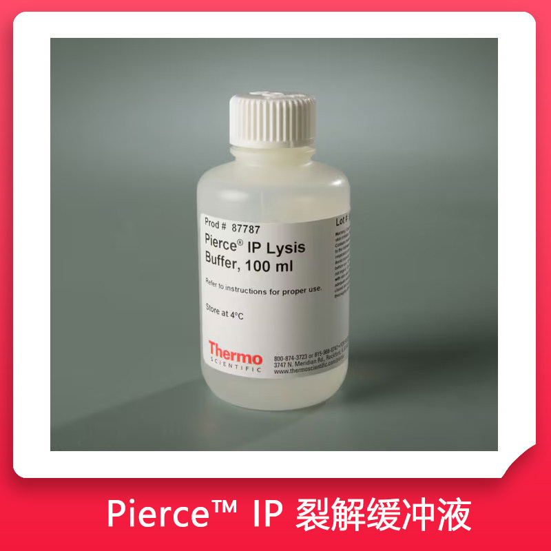 赛默飞 Thermo Pierce IP 细胞裂解缓冲液 87787