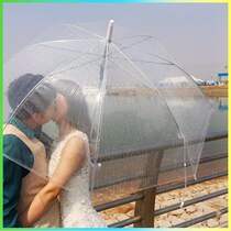 Folded white couple transparent umbrella plastic  umbrell