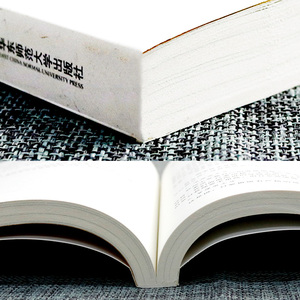 正版包邮 做一个专业的班主任 王晓春 大夏书系 全国中小学班主任培训用书 专业成长的优秀读本 教育理论/教师用书 班主任管理书籍