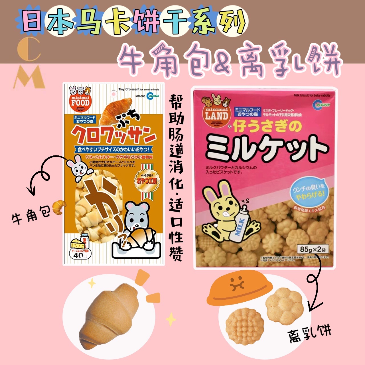 Cream Bear House Japanese Maca Milk Cake Croissant Hamster Golden Bear Stomach Digestion Nutritional Snack