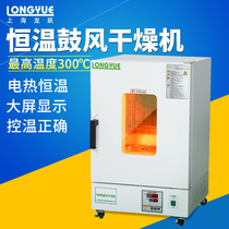 Shanghai Longyue blast drying oven electric constant temperature laboratory commercial industrial size oven high temperature drying box