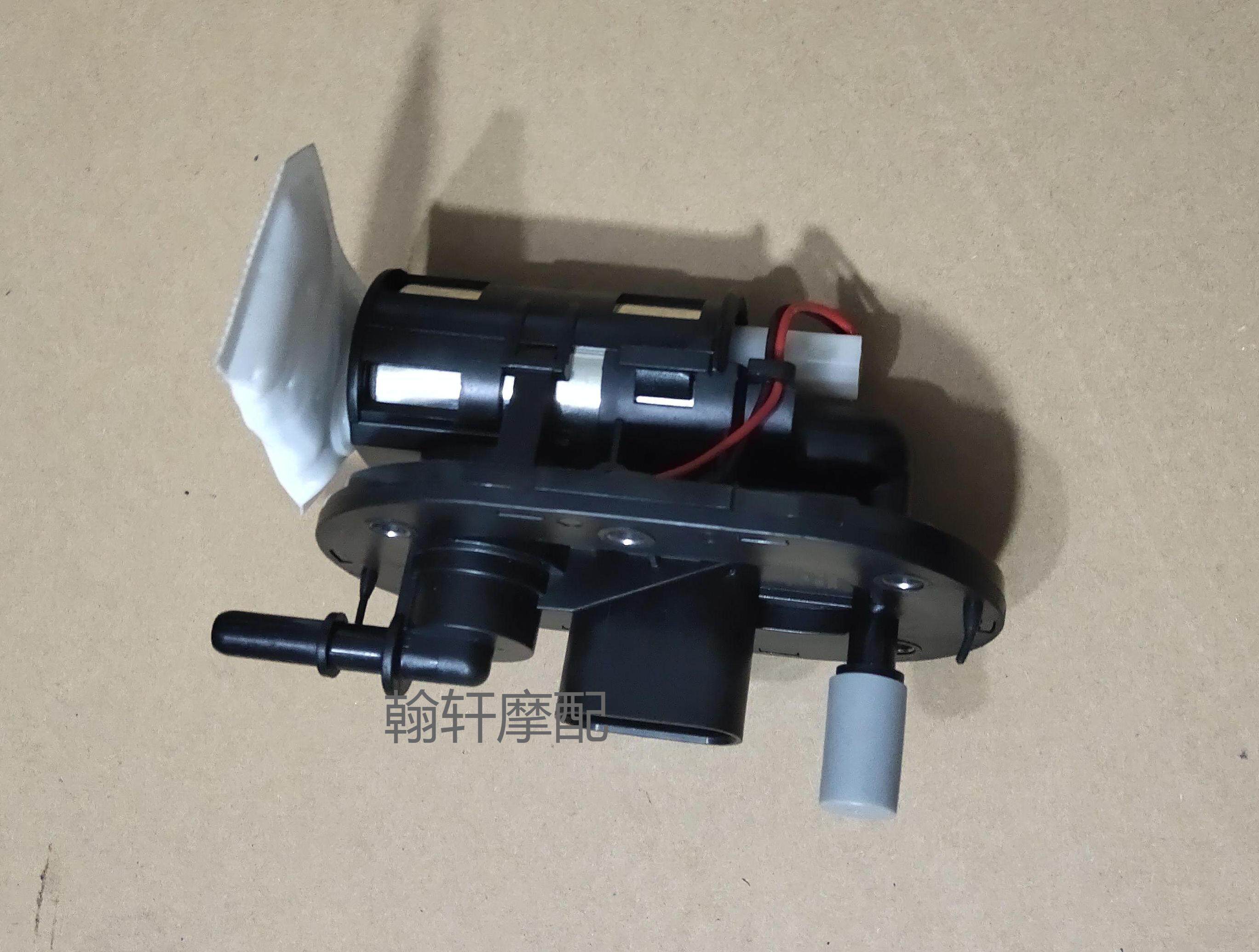 Qianjiang Beili Ni Huanglong 600 Sapphire Dragon 300 Huanglong 250 Delphi original fuel pump gasoline pump assembly