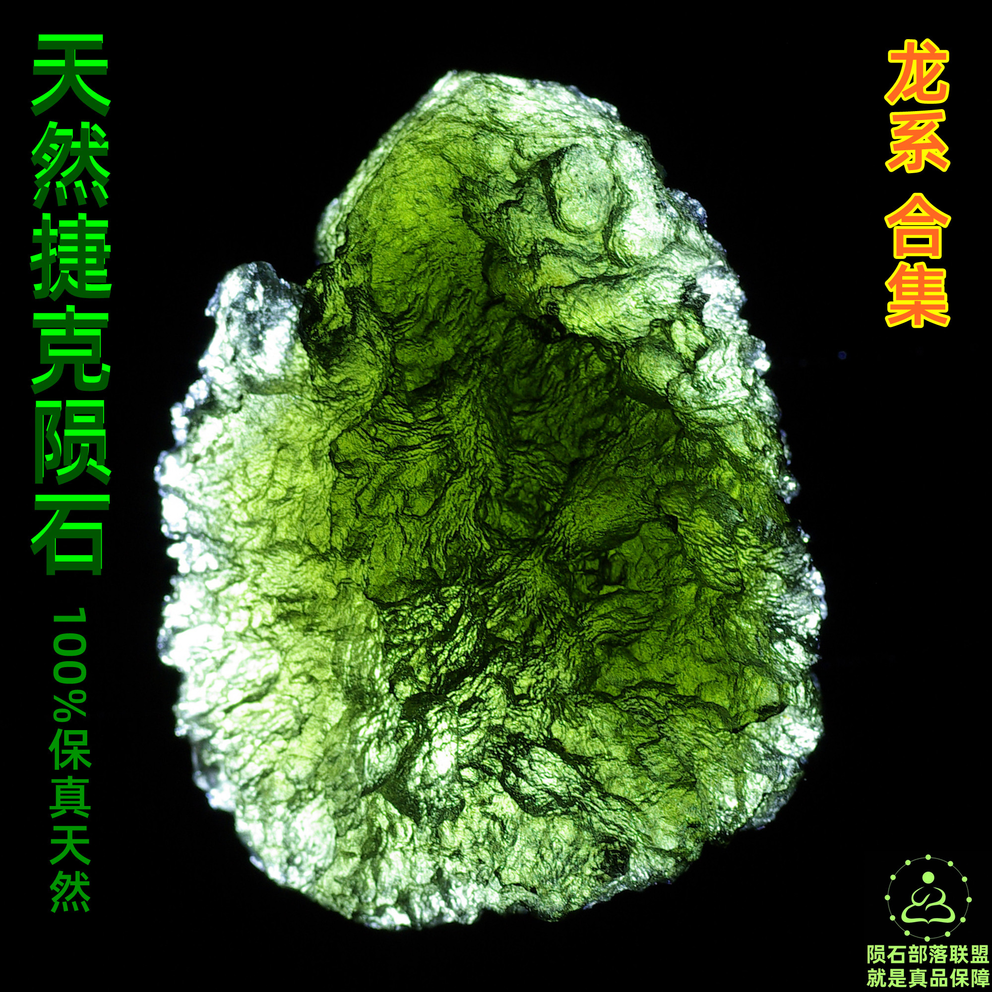 【メテオライト・トライブ・アライアンス】天然モルダバイト、チェコ産隕石（本物保証）【ドラゴンシリーズ - コレクション】