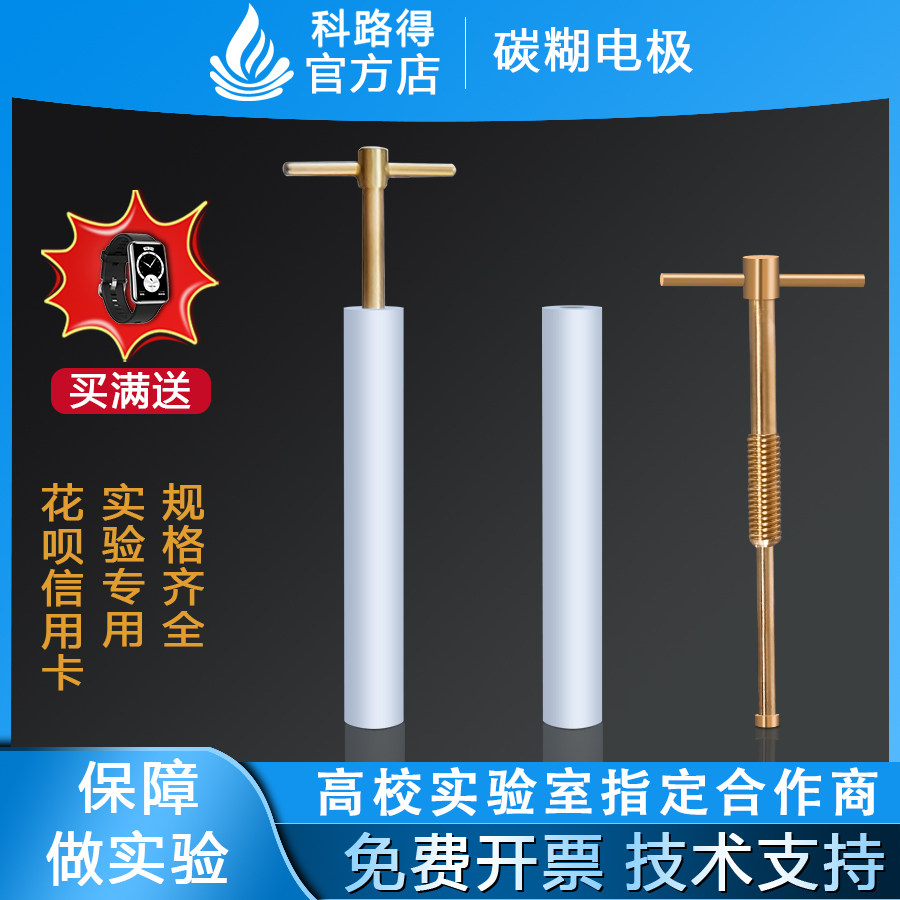 碳糊电极 2mm/3mm/4mm/5mm6mm及以上碳糊工作电极