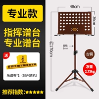 [Профессиональная модель] Copper Color+Spectrum Bag (отправка музыкального клипа)