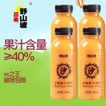 Sea buckthorn juice A box of net red sea buckthorn juice drink drink Shanxi Lvliang wild hillside food summer drink