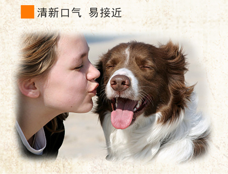 Thịt bò Cleansing Răng Stick Dog Clean Răng Bone Stick Pet 0-6 tháng Teddy Dog Snacks cám chó smartheart