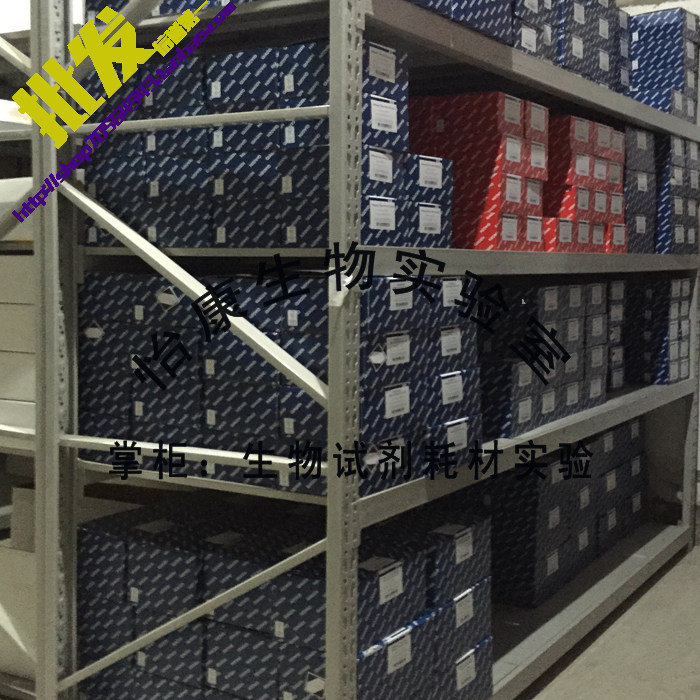 Promotion QIAGEN74104 Cell Tissue Purification Total RNA Extraction Kit 74106RNeasy Laboratory