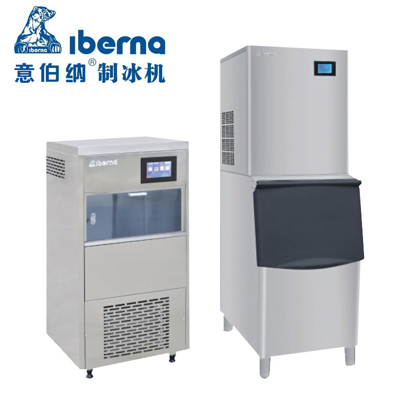 Italian Berna Ice Maker 80100200 kg Commercial Fully Automatic Cotton Snowflake Ice Equipment Ice Bear Pure Snowflake