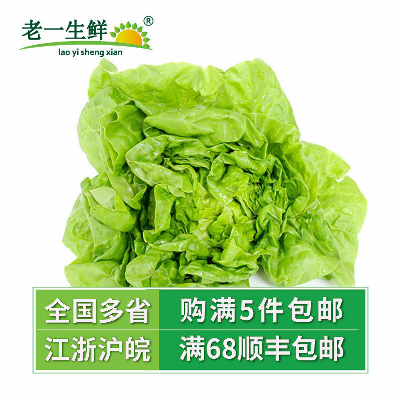 (Old and Fresh) Fresh Butter Lettuce Salad Western Side Vegetables Salad Vegetables 250g