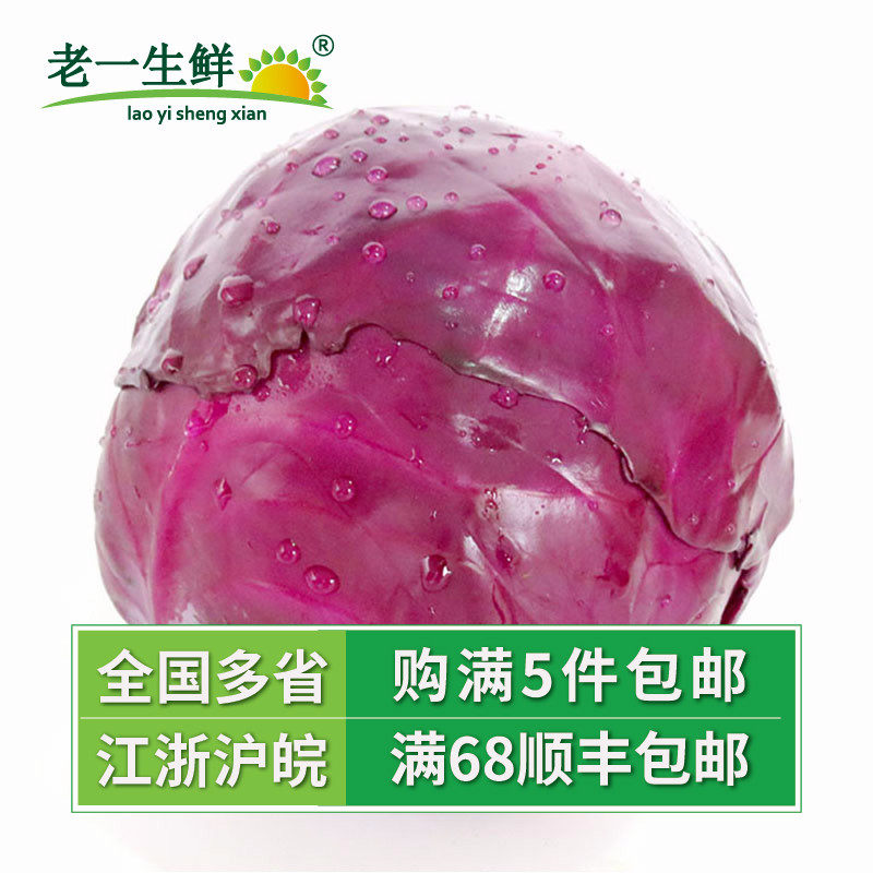 (Old One Fresh) Fresh Vegetables Saladish Purple Cabbage Purple Cabbage Balls Raw Vegetable about 1000g