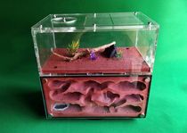 Ant fortress L three-dimensional double-sided two-color rotating double-sided water tower PK nest multi-type activity area Ant Workshop