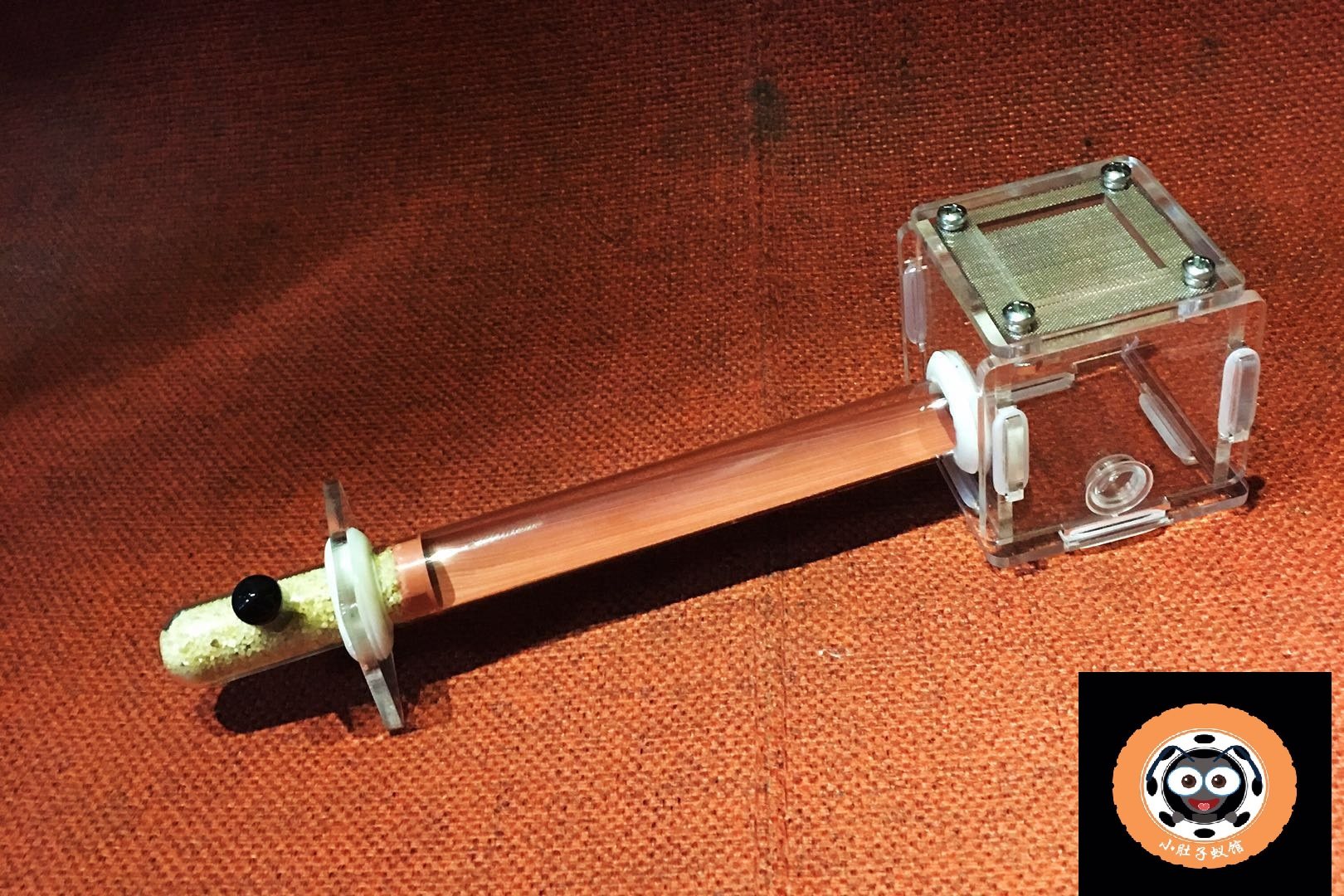 Cabbage Nest New Nest Ant Nest Little Belly Ant House Birthday Gift Desk Fittings