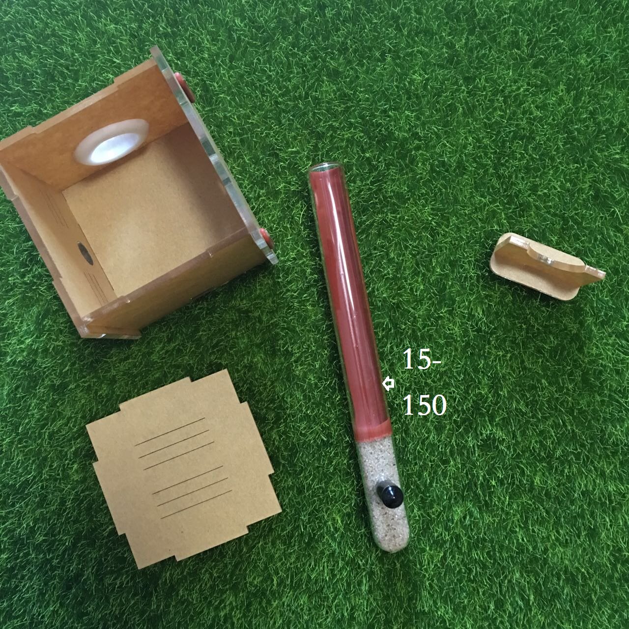 Scenic test tube nest new small community small belly ant museum