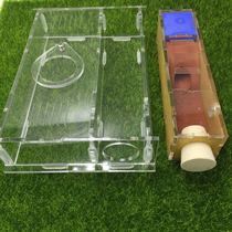 Ants nest new back nest original sound dwelling small stomach Ant House