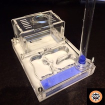 Ant Villa Ants Nest Acrylic Nest Plane Nest Ant Workshop Ants Castle Ant Pet