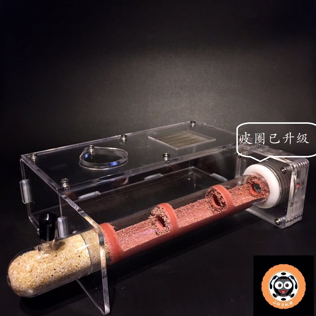 Bamboo nest test tube nest ant villa ant nest ant workshop ant castle ant pet