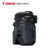 6d2 thân máy đơn Canon / Canon EOS 6D Mark II máy ảnh kỹ thuật số toàn khung hình đơn khung hình đầy đủ - SLR kỹ thuật số chuyên nghiệp