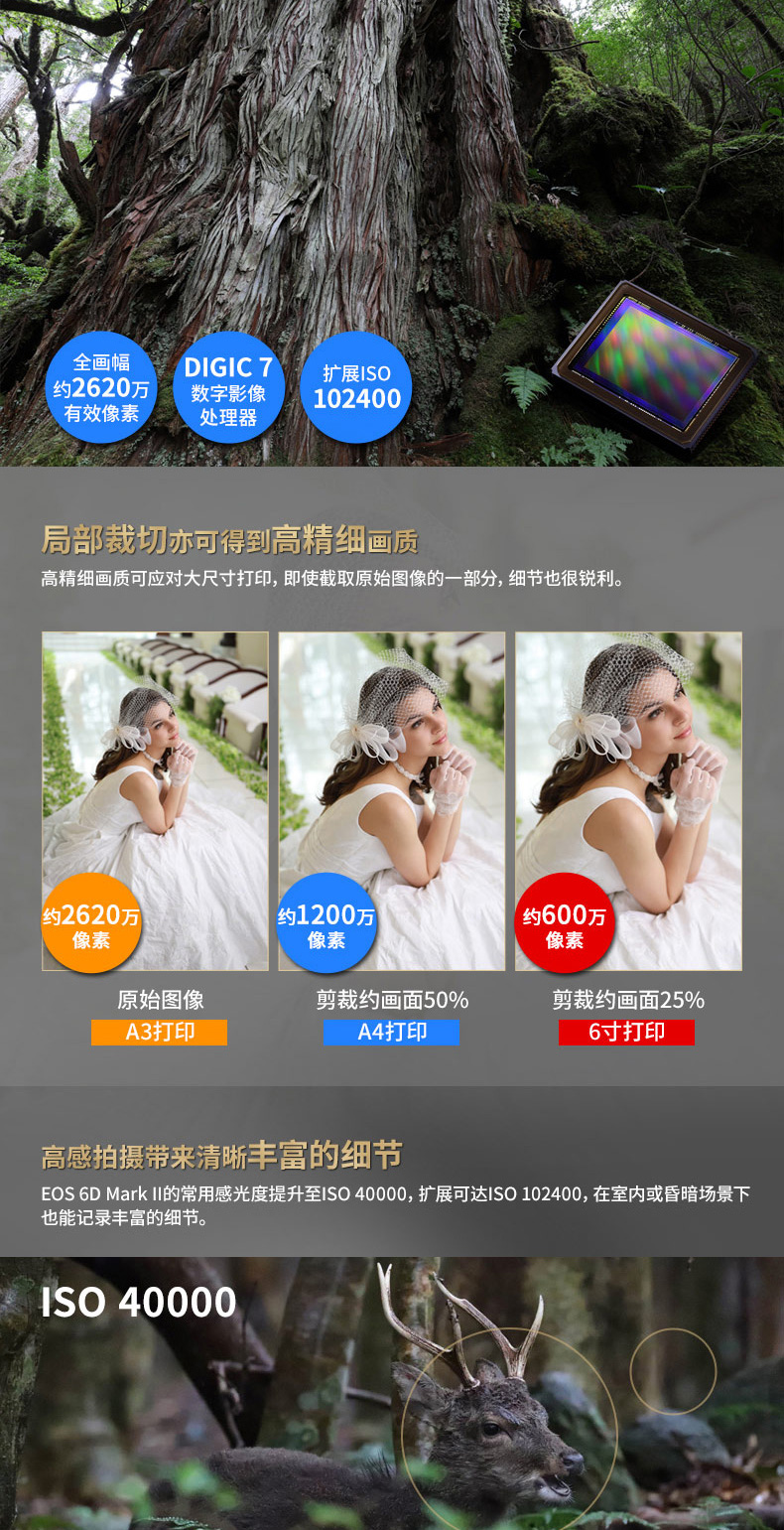 6d2 thân máy đơn Canon / Canon EOS 6D Mark II máy ảnh kỹ thuật số toàn khung hình đơn khung hình đầy đủ - SLR kỹ thuật số chuyên nghiệp sony máy ảnh