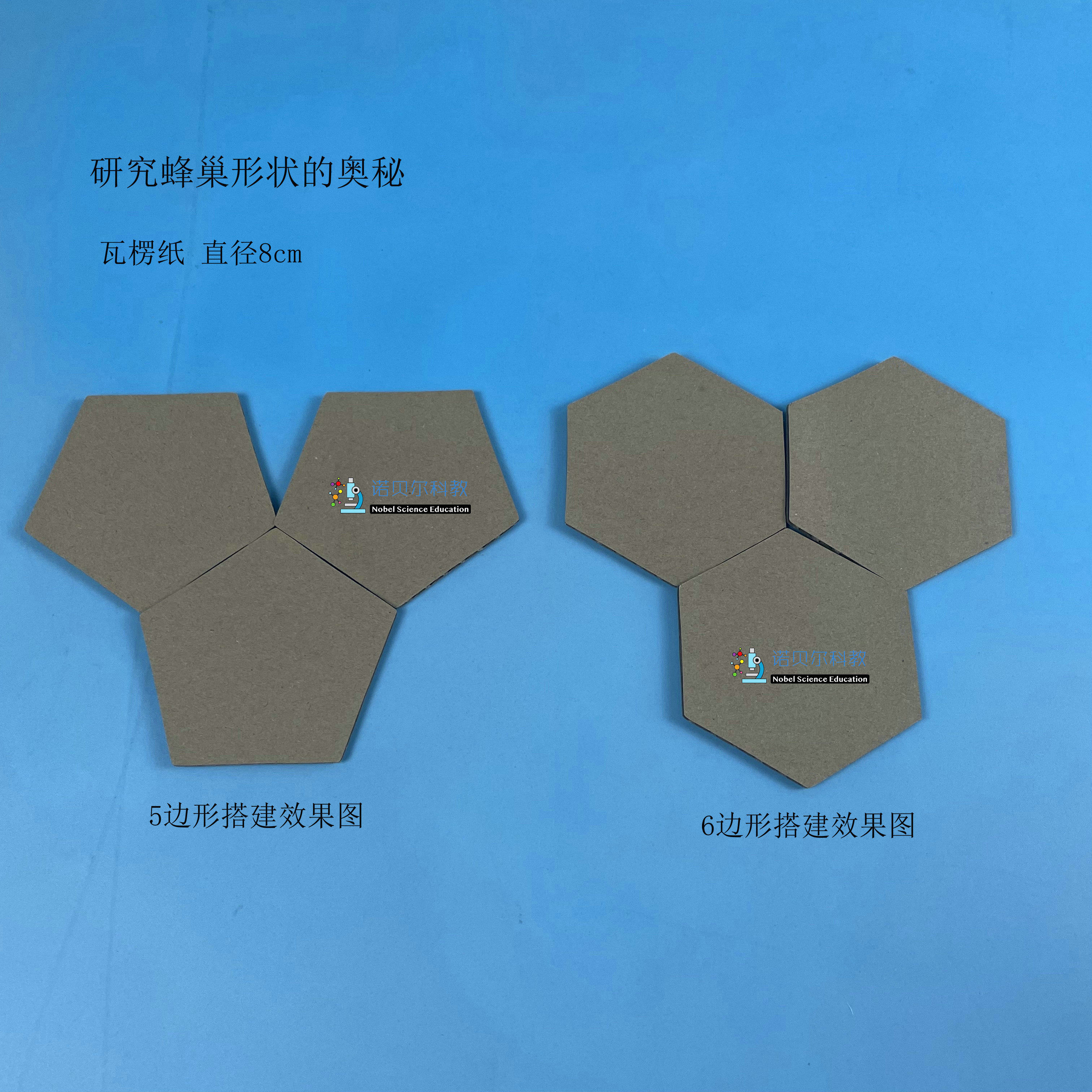 研究蜂巢形状的奥秘1套6片3片五边形和3片六边形直径8cm