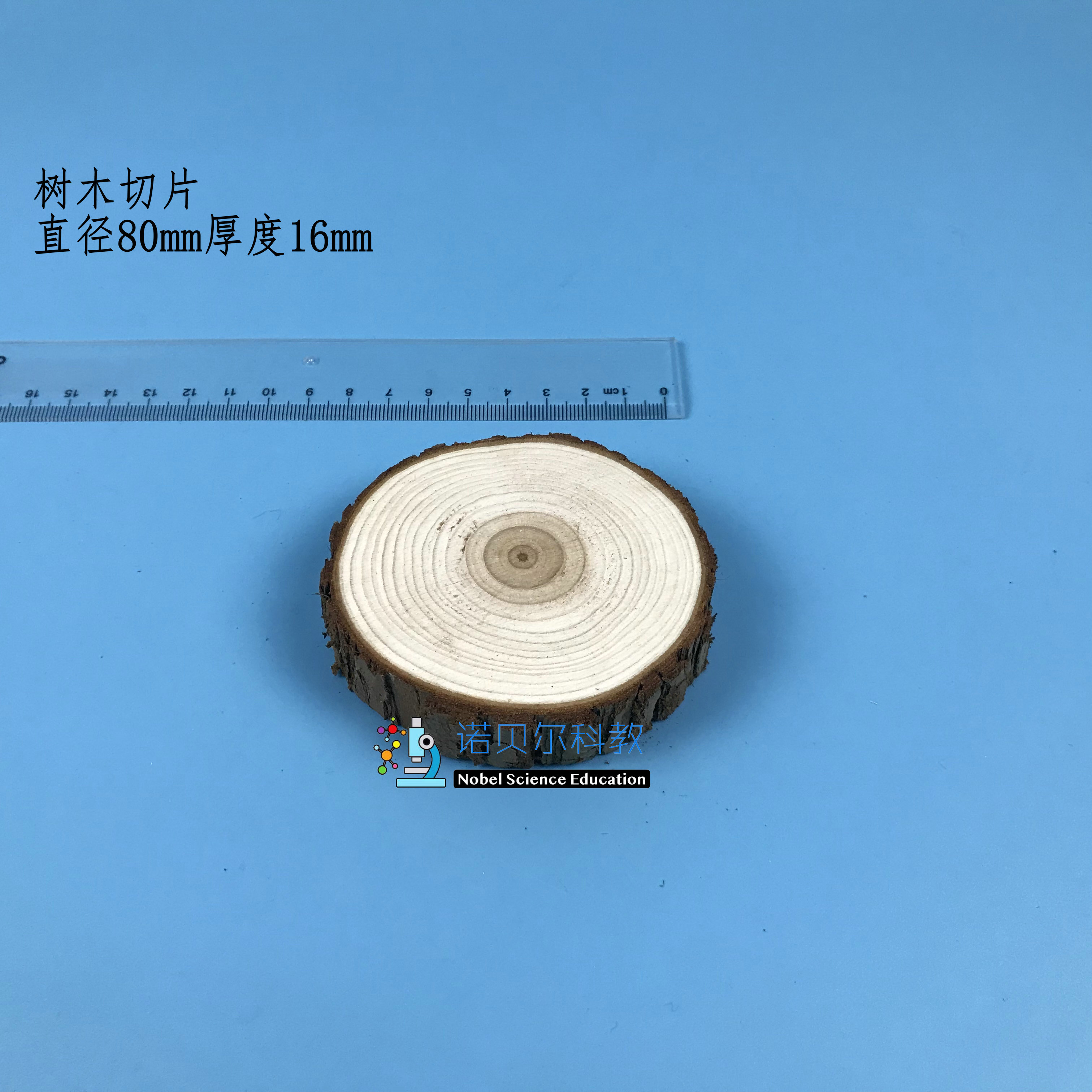 树木切片*时间的测量*小学科学5下*热爱牛顿科学实验*树木切片