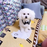 Шарф, слюнявчик, нагрудник, делается под заказ