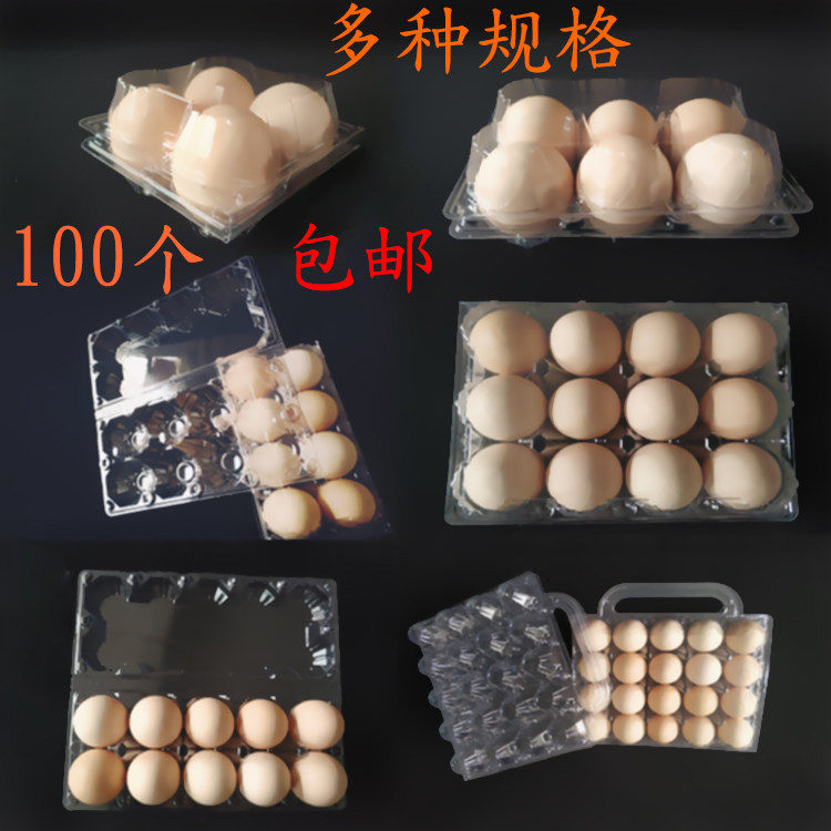 Plastic egg tray medium disposable transparent egg packaging box 10 pieces large portable egg box duck egg packaging box