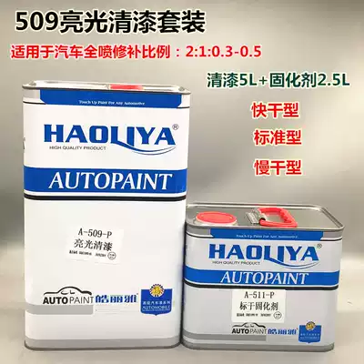 Car repair full spray set car paint transparent bright light oil matte quick drying varnish curing agent 509 bright oil