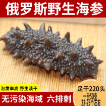 Russian sea Cucumbers Wild Sea Cucumbers Light dried Sea Cucumbers Imported sea Cucumbers 200 cephalopod dried sea cucumbers 50 grams of sea cucumbers