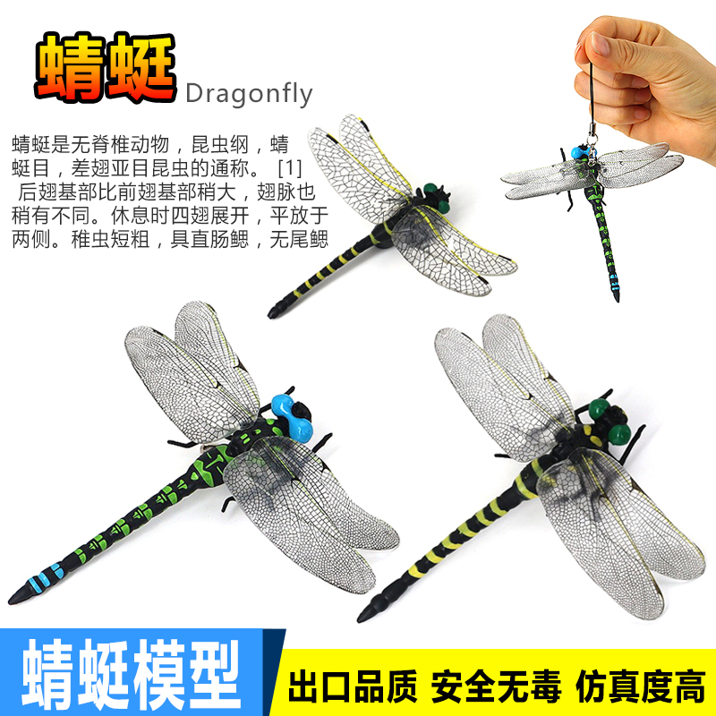 Simulated Large Dragonfly Model Toy Insect Specimen Bee Beetle Plastic Butterfly Children's Gift Cognitive Science Education