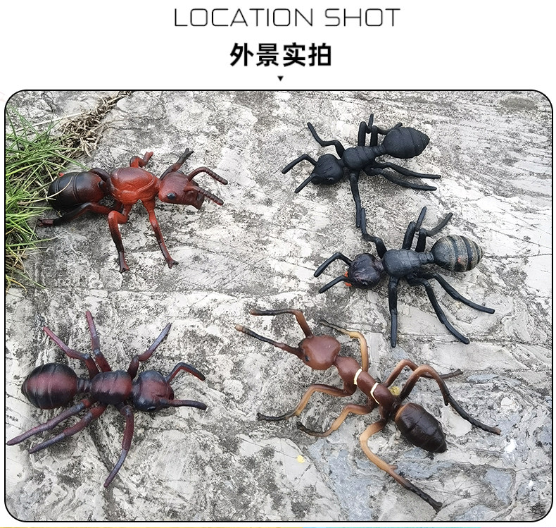 /