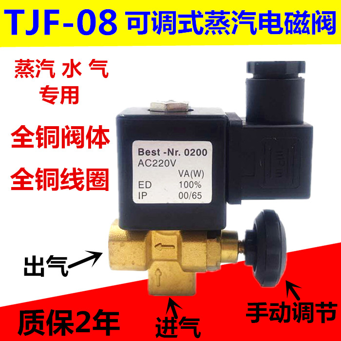 Adjustable steam solenoid valve TJF-08 2 points interface hot iron steam valve AC220V DC24V