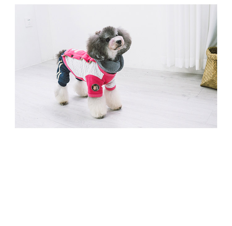 Touchdog nó mùa thu và mùa đông thú cưng quần áo chó quần áo xu hướng quần áo Teddy quần áo dễ thương bông schnauzer - Quần áo & phụ kiện thú cưng áo cho mèo giá rẻ
