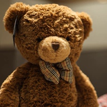 (Hug Bear) Little Bear teddy bear cute doll plush toy doll doll boy girl birthday present